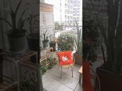 Aço inoxidável grau 316 Com clipes de segurança cruzados para grade de varanda invisível