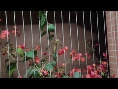 Proteção invisível 316 da criança da grade do balcão de aço inoxidável