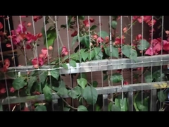 Balcão de Design da Sociedade Moderna Grelha Invisível com Serviço de Punção e Capacidade de Carga 100kg