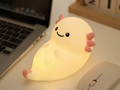 Lâmpada noturna multifuncional com carga USB e fonte de energia da bateria