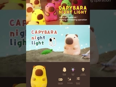 Uma linda lâmpada noturna.