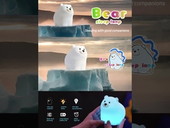 Uma linda lâmpada noturna.