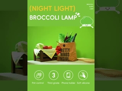 Uma linda lâmpada noturna.