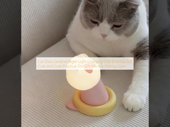 Lâmpada de noite criativa de garra de gato carregamento USB presente de aniversário bonito e bonito presente prático de menina silicone Patting luz