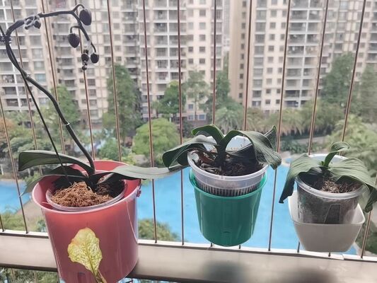 Grelha Invisível Acessórios Vaso de Flores Tamanho Médio Durável Perfeito Para Balcão