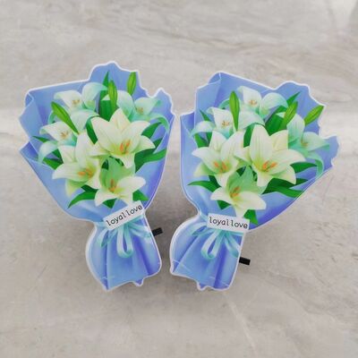 LED Plug In Night Light Lamp Slide Switch Control Convenient Lighting Solution Suitable for Bedroom and Staircase