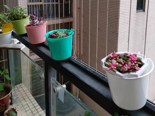 Grelha Invisível Clip de Potes de Flores Cruzamento de 2.5mm Fios 2.0mm Clipe de fixação para projetos industriais de malha de arame e montagem